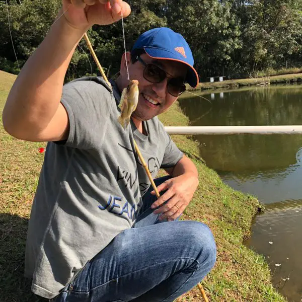 peixe de todos os tamanhos