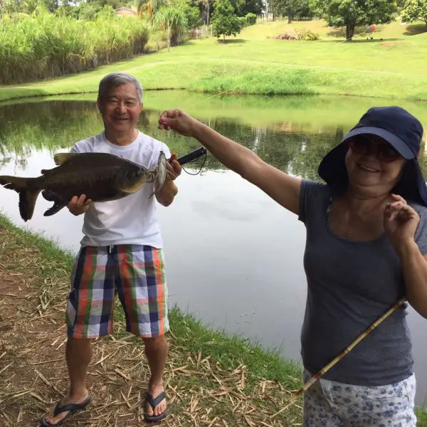 aqui todo mundo pesca