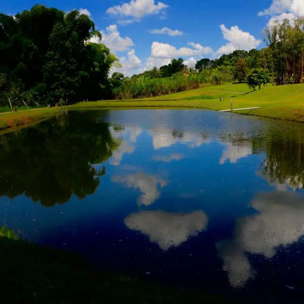 lago e tranquilidade