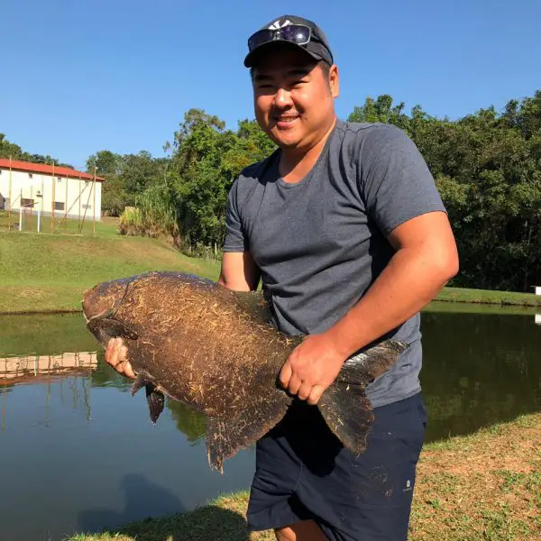 aqui só da peixão!