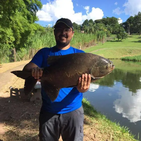 pesca esportiva